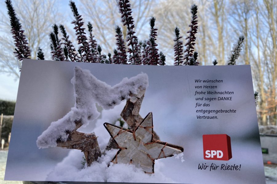 Eine Weichnachtskarte steht vor Pflanzen. Im Hintergund ist eine winterliche Landschaft zu sehen.